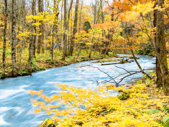 奥入瀬渓流ネイチャーツアーJR青森駅・青森空港から無料送迎付き石ヶ戸～雲井の滝～銚子大滝 約7Kmを地元ガイドと一緒に散策！＜4月～11月／奥入瀬館集合可＞