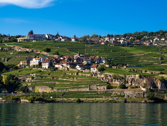 Lavaux_view from lake_AdobeStock_557229997