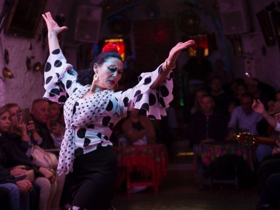 クエバス・ロス・タラントス フラメンコショー チケット予約