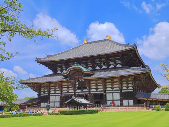 京都発 日帰りバスツアー 京都＆奈良1日観光 伏見稲荷大社＋金閣寺＋嵐山＋奈良公園・東大寺＜英語ガイド＞