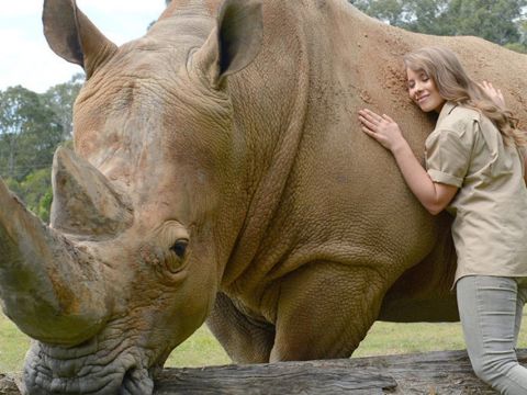 オーストラリア動物園：入場券＋野生動物病院見学　チケット事前予約