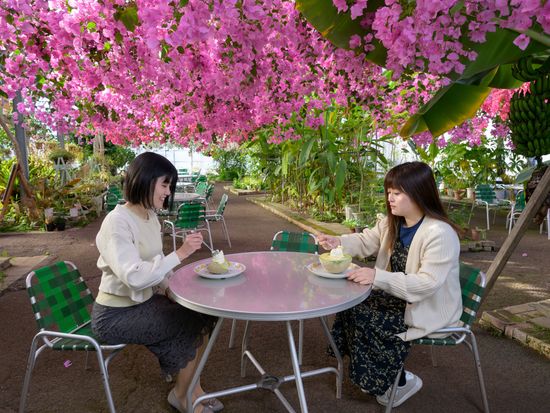 03　西島園芸団地