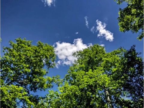 美瑛サイクリングツアー 十勝岳を眺めながらの四季を楽しむコース！青い池+白ひげの滝etc. アシスト付きMTBでラクラク！＜5～11月／美瑛＆富良野送迎可＞