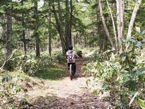 美瑛 E-MTBサイクリングツアー 経験者向けの本格トレイルコース！野鳥の森+原始の森+不動の滝etc.＜5～11月／美瑛＆富良野送迎可＞