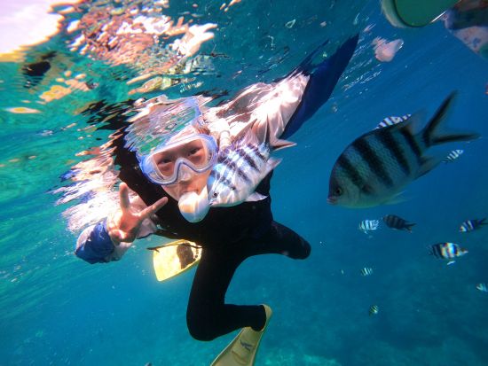 熱帯魚&サンゴ礁スノーケリング 透明度抜群の海とカラフルな、水中世界を堪能＜約2時間／送迎相談可／英語対応可能／北谷＞