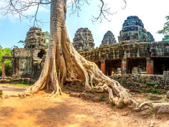 貸切観光チャーター　アンコールワット・シェムリアップ郊外を自由に観光！＜1～5名／4時間または8時間／日本語ガイド選択可／空港送迎オプション有＞