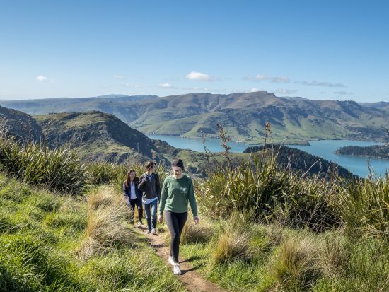 ゴンドラ往復チケット　クライストチャーチの絶景を山頂から堪能！＜英語／クライストチャーチ発＞