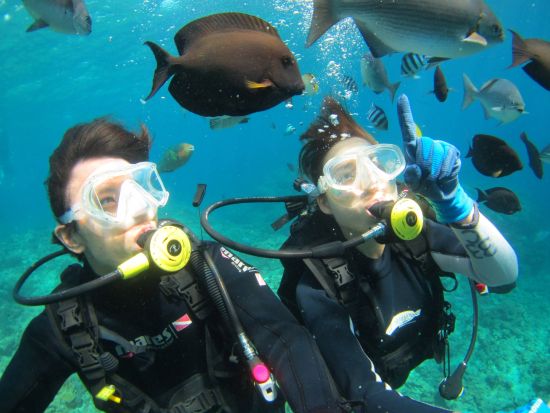 慶良間ボート体験ダイビング シュノーケリングも楽しめる！魅力をたっぷり詰め込んだ大満足プラン＜1日／送迎相談可／英語対応可能＞