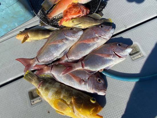 チャーター船釣り　大瀬良さんがご案内　3時間または6時間から選択可能　＜3～10月／最大6名様／若松島・新上五島町＞ by GOTO真光クルーズ