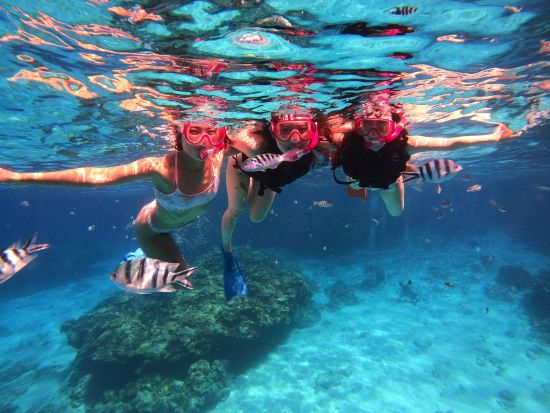 慶良間ボートスノーケリング カラフルなサンゴ礁や魚を間近で見よう！ボートで普段行けないスポットへ行ける贅沢プラン＜1日／送迎相談可／英語対応可能＞