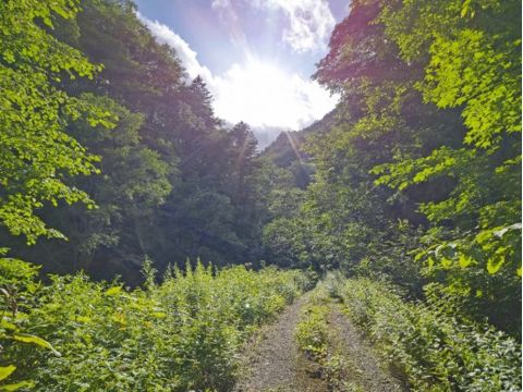 富良野 E-MTBサイクリングツアー 森林浴を楽しみながら、富良野のトレイルコースを走行！美しい滝を巡ろう＜5～11月／美瑛＆富良野送迎可＞