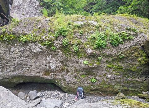 富良野 E-MTBサイクリングツアー 森林浴を楽しみながら、富良野のトレイルコースを走行！美しい滝を巡ろう＜5～11月／美瑛＆富良野送迎可＞
