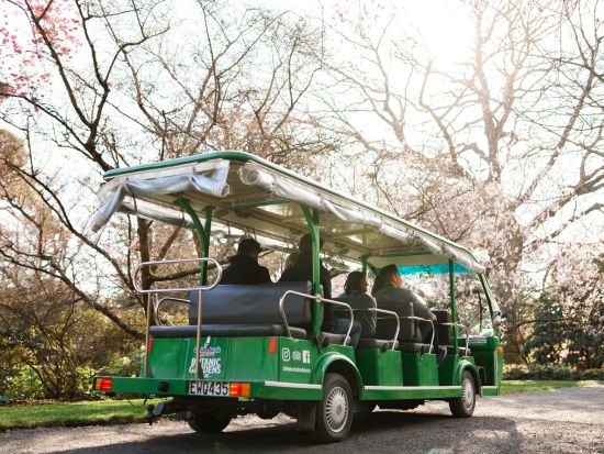 クライストチャーチ植物園ツアー！全天候型の電動シャトルで庭園内の見どころをご紹介＜約40分／英語ガイド／クライストチャーチ発＞