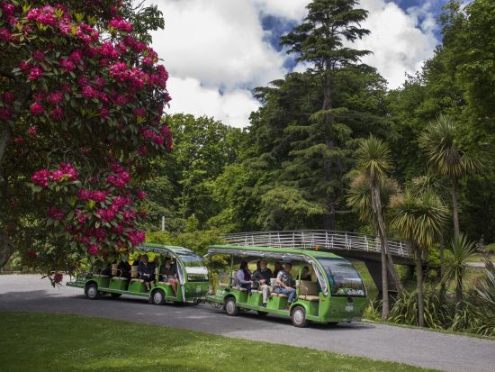 クライストチャーチ植物園ツアー！全天候型の電動シャトルで庭園内の見どころをご紹介＜約40分／英語ガイド／クライストチャーチ発＞