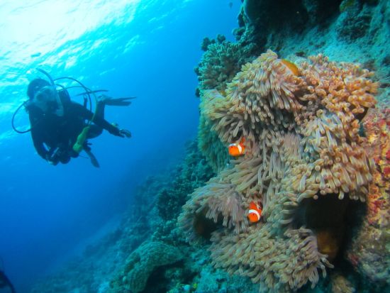 砂辺ボートファンダイビング 本格的に非日常の冒険を楽しもう！選べる2or3DIVE&少人数グループで素敵な思い出を＜1日／送迎相談可／英語対応可能／北谷＞