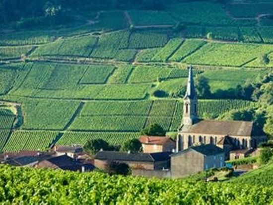 route-des-grands-crus_2