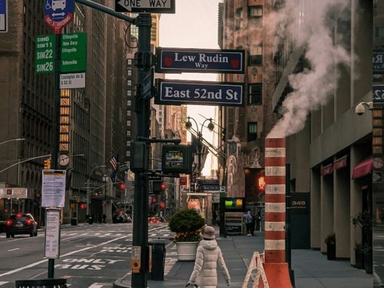 ニューヨークのウォーキングツアー　＜英語ガイド＞ by Tiqets