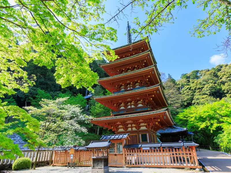 Japan_Nara_pixta_89016724_長谷寺