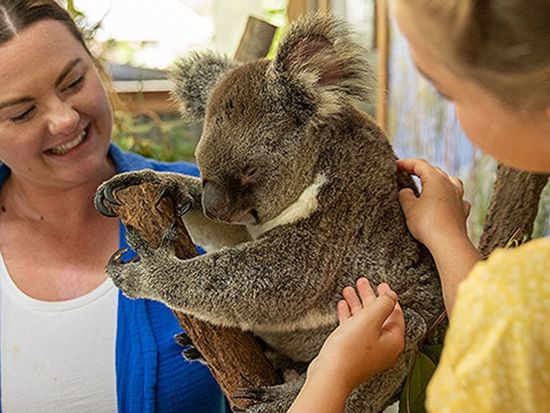 Birdworld-and-Koala-Gardens-145