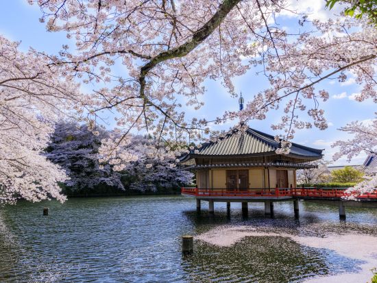 奈良駅発 日帰りバスツアー 大和四寺巡礼 安倍文殊院＋岡寺＋室生寺＋長谷寺を1日で参拝＜昼食付／英語・中国語対応音声ガイドあり／JR奈良駅・近鉄奈良駅発＞