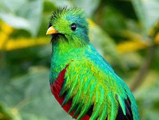 AdobeStock_303021684