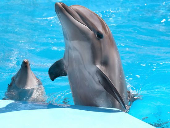 shutterstock_2150565937