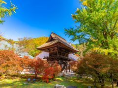 pixta_69121647_M
