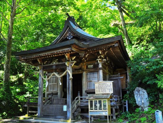 ガイドウォークツアー 戸隠神社を巡る 知識豊富な地元ガイドがご案内 選べる半日・一日プラン＜英語対応可／長野県＞