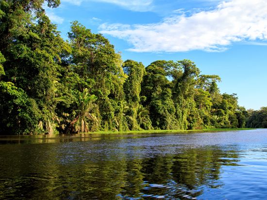 AdobeStock_366781629