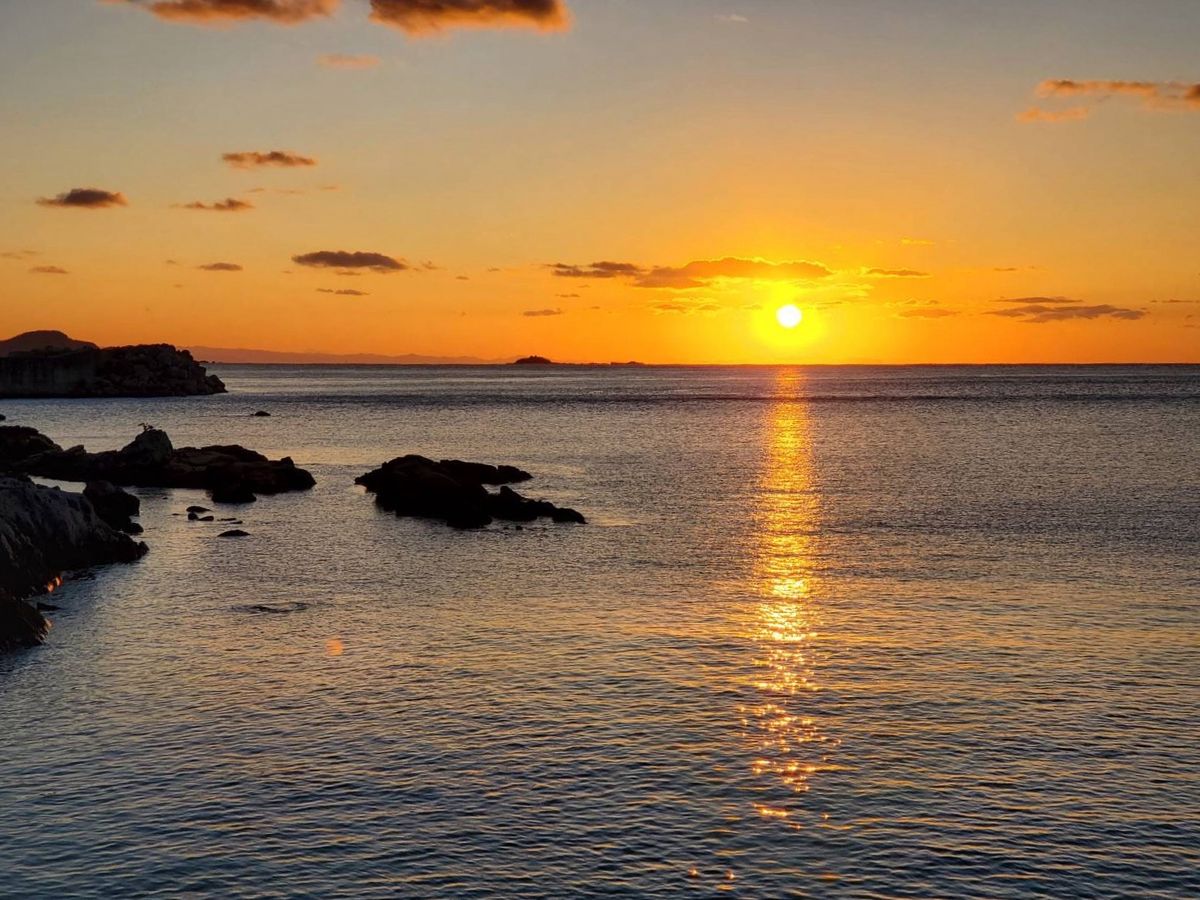 9-nine- 中国烏丸屋 新海天セット 鉄観音（黄箱） – Ryuuka