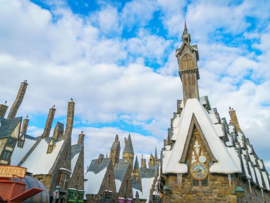 ユニバーサル・スタジオ・シンガポール　VIPエクスペリエンス ガイドツアー＜英語／入場チケット＆ユニバーサル・エクスプレスパス付＞