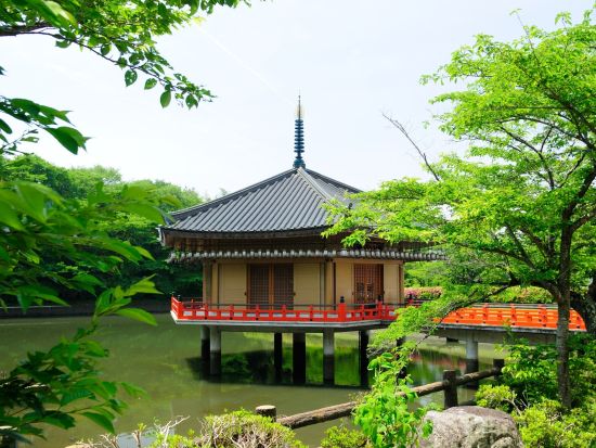 貸切観光タクシー 大和四寺巡礼コース 長谷寺＋室生寺＋岡寺＋安倍文珠院＜1～9名／奈良市内送迎可＞ by 服部タクシー 