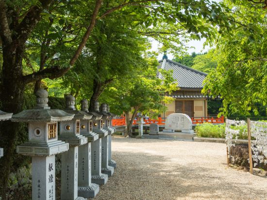 貸切観光タクシー 大和四寺巡礼コース 長谷寺＋室生寺＋岡寺＋安倍文珠院＜1～9名／奈良市内送迎可＞ by 服部タクシー 
