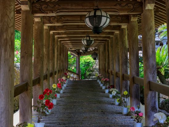 長谷寺_pixta_77089311_長谷寺