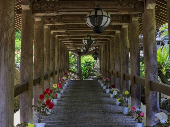 貸切観光タクシー 大和四寺巡礼コース 長谷寺＋室生寺＋岡寺＋安倍文珠院＜1～9名／奈良市内送迎可＞ by 服部タクシー 