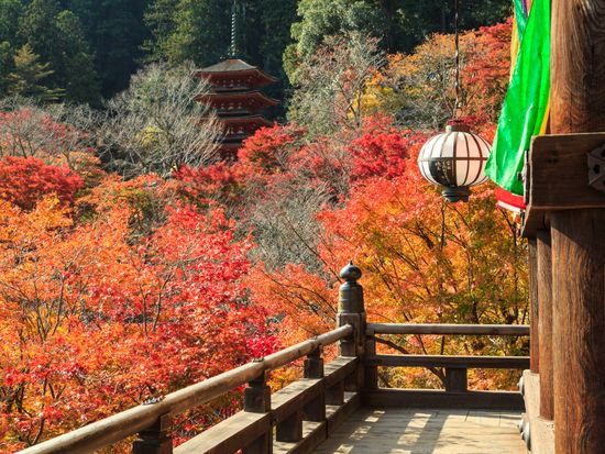 長谷寺_Hase-dera_pixta_26291390_長谷寺