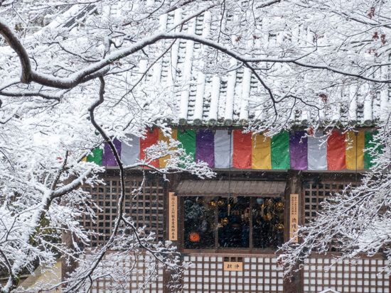 長谷寺_pixta_81258285_長谷寺 雪の開山堂