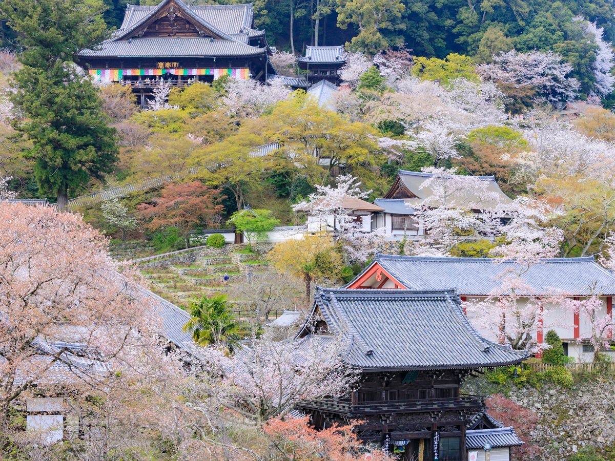 西大寺 (観光情報) (観光情報) | 奈良観光 VELTRA(ベルトラ) 西大寺 (観光情報) (観光情報) | 奈良観光 VELTRA(ベルトラ)