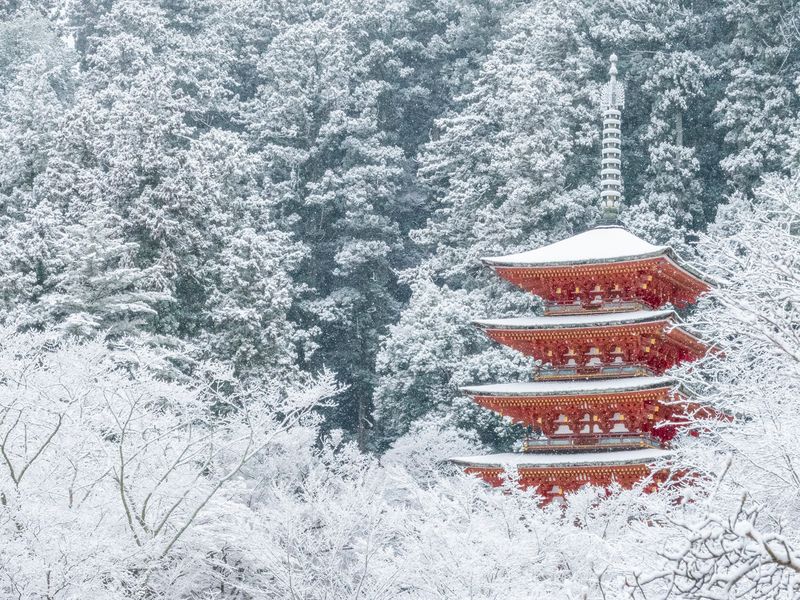 長谷寺_pixta_81258284_長谷寺 雪の五重塔