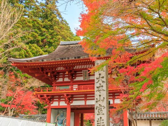Japan_Nara_Murou-temple_pixta_46333039_室生寺