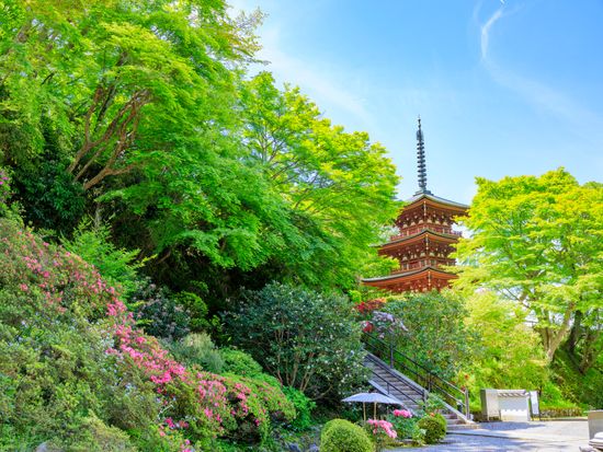 Japan_Nara_pixta_77086129_岡寺