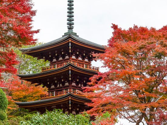 Japan_Nara_Oka-temple_67655904_M