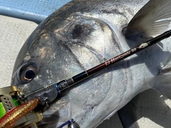 船釣り体験ツアー　手ぶらでOK！穏やかな大島海峡でのんびりフィッシング ＜3時間または6時間／瀬戸内町＞ by ダンデライオン奄美