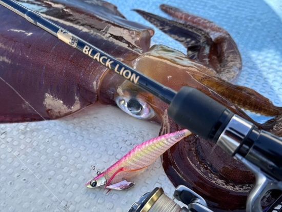 船釣り体験ツアー　手ぶらでOK！穏やかな大島海峡でのんびりフィッシング ＜3時間または6時間／瀬戸内町＞ by ダンデライオン奄美