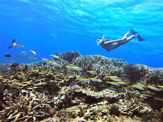 幻の島上陸+シュノーケリング 短時間でサクッと体験！ボートで楽々移動 女子旅やファミリーにもオススメ◎＜半日／送迎可／石垣島＞