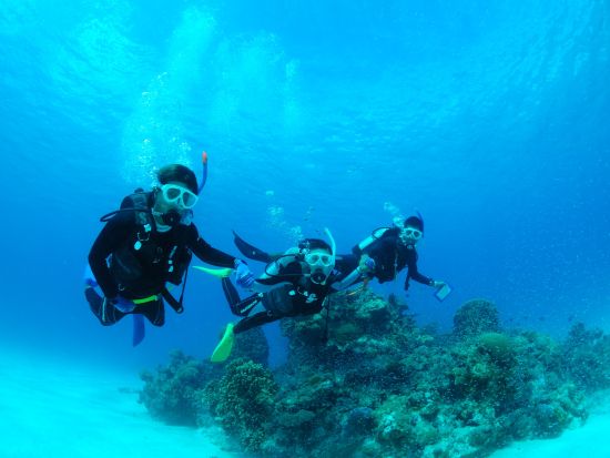 幻の島上陸+体験ダイビング 人気アクテビティを短時間で効率よく体験♪"幻の島の絶景"と"透き通る綺麗な海"を体感してみたい方にオススメ◎＜半日／送迎可／石垣島＞