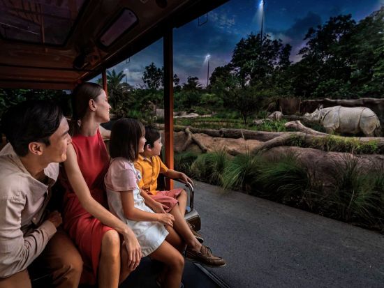 ナイトサファリツアー　マルチランゲージ（日本語音声）トラム確約 アニマルショー鑑賞 ＜入場チケット込／夕食付きプランあり／日本語ガイド／往復送迎＞by JTB 