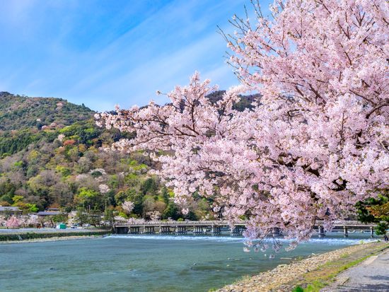 Japan_Kyoto_Arashiyama_PIXTA_64249500