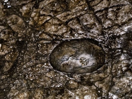 滝観洞（ろうかんどう） 入場チケット事前予約  今もなお成長し続ける生きた鍾乳洞を歩く！洞窟内に響く轟音、青く美しい滝に感動＜通年／滝観洞ICから車で3分＞