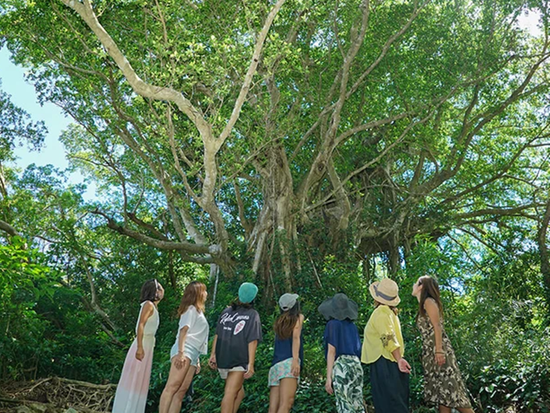 スクリーンショット 2024-04-19 16170